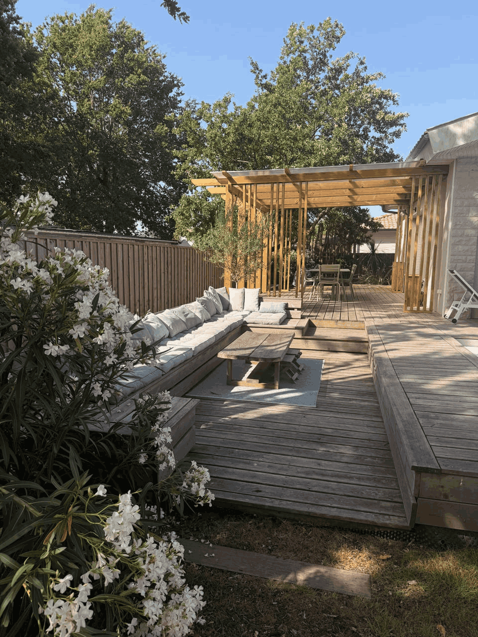 jardin (5)