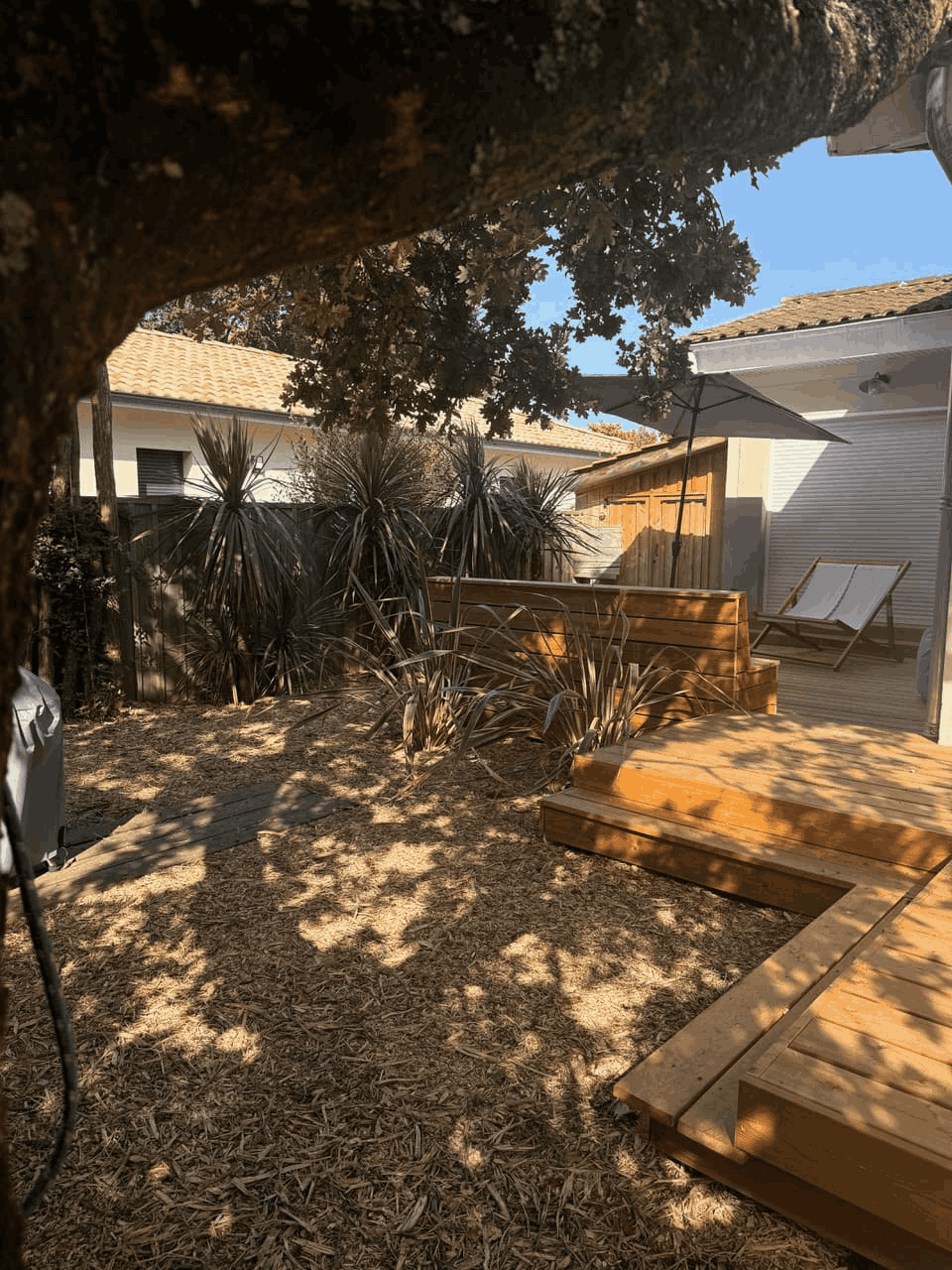 jardin (1)
